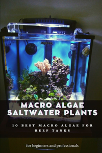 Macro algae saltwater plants
