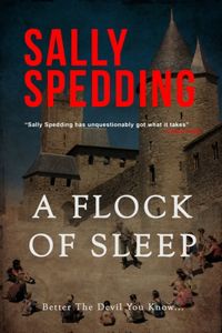 Flock Of Sleep