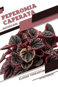 Peperomia caperata