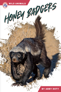 Honey Badgers