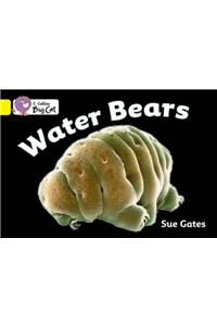 Water Bears