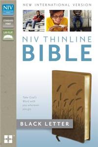 Thinline Bible-NIV