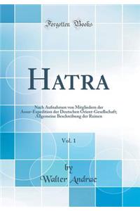 Hatra, Vol. 1: Nach Aufnahmen Von Mitgliedern Der Assur-Expedition Der Deutschen Orient-Gesellschaft; Allgemeine Beschreibung Der Ruinen (Classic Reprint)