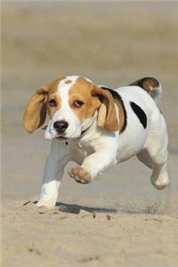 Hug a Beagle Puppy Journal