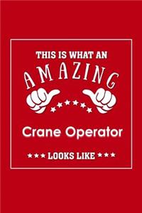 This is What an Amazing Crane Operator Look Like