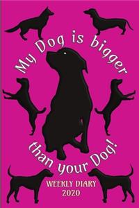 My dog is bigger than your dog! - Weekly Diary 2020