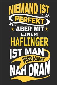 Niemand ist perfekt aber mit einem Haflinger ist man verdammt nah dran