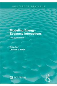 Modeling Energy-Economy Interactions