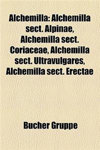 Alchemilla: Alchemilla Sect. Alpinae, Alchemilla Sect. Coriaceae, Alchemilla Sect. Ultravulgares, Alchemilla Sect. Erectae