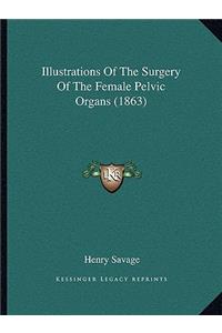 Illustrations Of The Surgery Of The Female Pelvic Organs (1863)