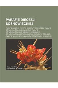 Parafie Diecezji Sosnowieckiej