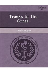 Tracks in the Grass