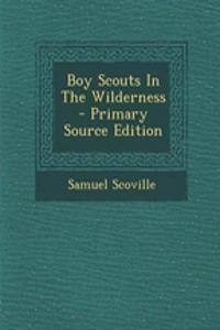 Boy Scouts in the Wilderness