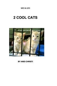 2 Cool Cats
