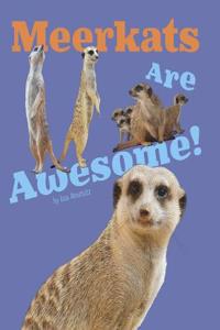 Meerkats Are Awesome!