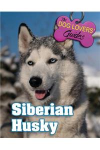 Siberian Husky