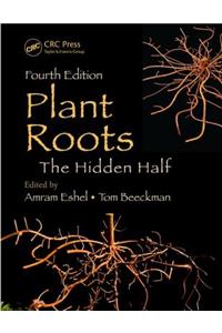 Plant Roots