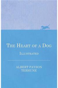 The Heart of a Dog - Illustrated
