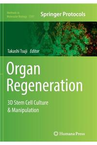 Organ Regeneration