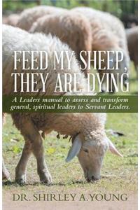 Feed My Sheep, They Are Dying