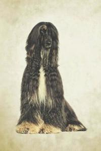 Afghan Hound: Journal/Notebook/Diary