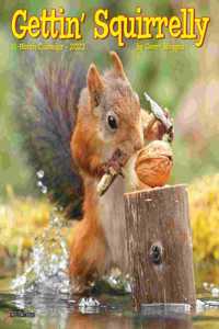 Gettin' Squirrelly 2023 Mini Wall Calendar