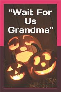 Wait for Us Grandma