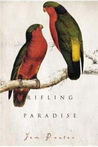 Rifling Paradise