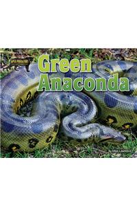 Green Anaconda
