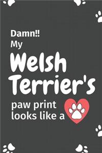 Damn!! my Welsh Terrier's paw print looks like a