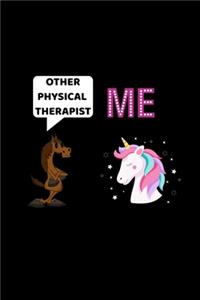 other PHYSICAL THERAPIST ME