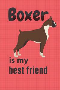 Boxer is my best friend