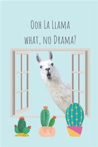 Ooh La Llama, What No Drama?