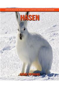 Hasen