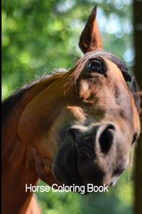 Horse Coloring Book