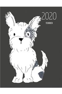 2020 Terrier