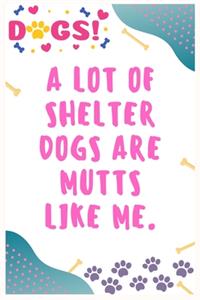 A lot of shelter dogs are mutts like me