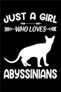 Just a girl who loves Abyssinians