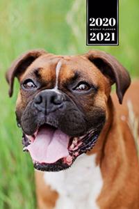 Boxer Dog Calendar Week Planner 2020 / 2021 - On the Meadow