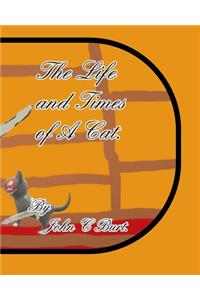 The Life and Times of A Cat.