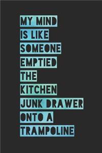 My Mind Is Like Someone Emptied the Kitchen Junk Drawer Onto a Trampoline: Funny Journals for Adults