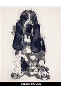 Basset Hound