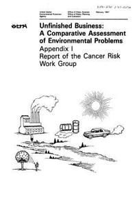 Unfinished Business Comparative Assessment of Environmental Problems Appendix I Report of the Cancer Risk Work Group