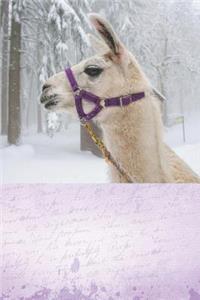 Journal