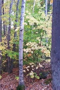 2019 Weekly Planner Fall Foliage Autumn Trees 134 Pages