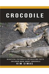 Crocodile