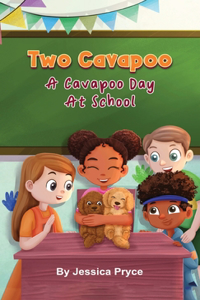 Two Cavapoo