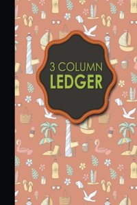 3 Column Ledger