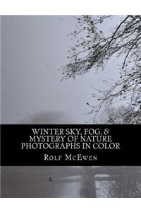 Winter Sky, Fog, & Mystery of Nature - Photographs in Color