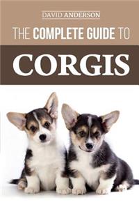 Complete Guide to Corgis: Everything to know about both the Pembroke Welsh and Cardigan Welsh Corgi dog breeds